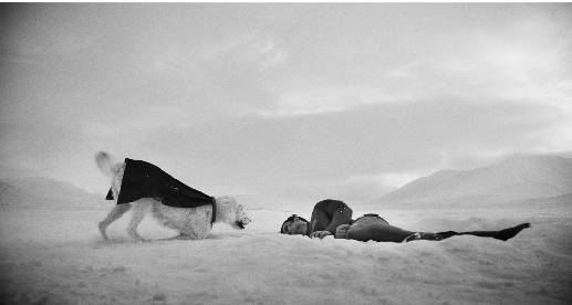 1753248514186590.png image.png